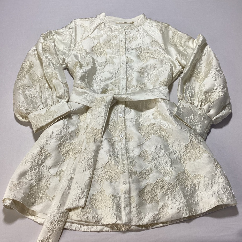 Ellison Shimmer Jacquad Dress in Cream - Picture 4 of 13